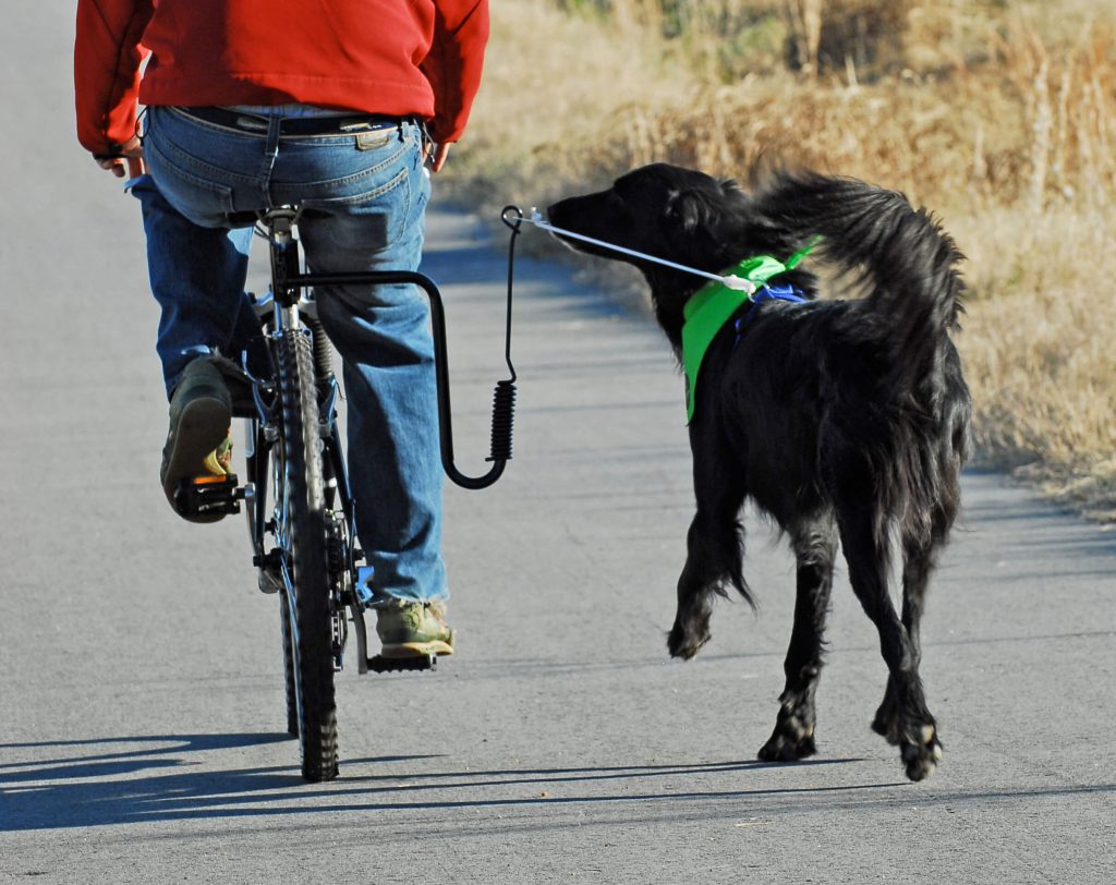 syklist med hund